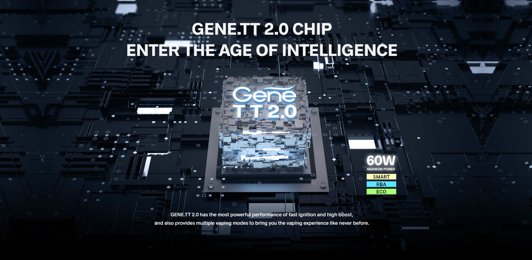 chip gene TT 2